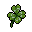 four-leaf clover