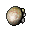 white mushroom