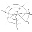 Spider Silk